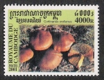 Stamps Cambodia -  SETAS-HONGOS: 1.124.056,01-Cortinarius orellanus