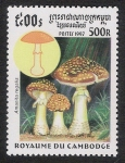 Stamps Cambodia -  SETAS-HONGOS: 1.124.032,00-Amanita regalis