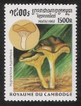Stamps Cambodia -  SETAS-HONGOS: 1.124.035,00-Hygrophorus hypotheius