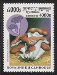 Stamps Cambodia -  SETAS-HONGOS: 1.124.036,00-Albatrellus confluens