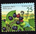 Stamps : America : Canada :  Saskatoon Berry