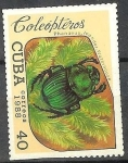Stamps America - Cuba -  Coleopteros