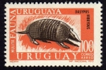 Sellos de America - Uruguay -  MULITA