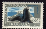 Stamps : America : Uruguay :  Lobo Fino