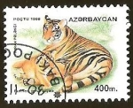 Stamps Asia - Azerbaijan -  PANTHERA TIGRUS VIRGATA
