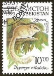 Stamps Uzbekistan -  DRYOMYS NITEDULA