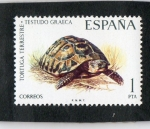 Stamps Spain -   2192- FAUNA HISPANICA. TORTUGA TERRESTRE