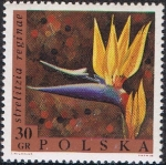 Stamps Poland -  FLORES. AVE DEL PARAISO (STRELITZIA RÉGINAE)