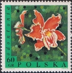 Stamps Poland -  FLORES. ODONTONIA (ODONTONIA HIBRIDOS)