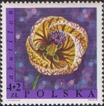 Stamps Poland -  FLORES. FAROLITO JAPONÉS (ABUTILON X HYBRIDUM)