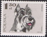 Stamps Poland -  PERROS. SCHNAUZER