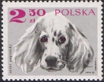 Stamps Poland -  PERROS. SETTER INGLÉS