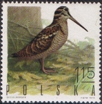 Stamps : Europe : Poland :  AVES DE CAZA. CHOCHA PERDIZ