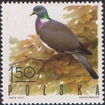 Stamps Poland -  AVES DE CAZA. PALOMA