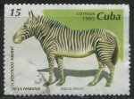 Sellos de America - Cuba -  Equus grevyi