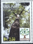 Sellos de America - Bolivia -  Año internacional de los bosques