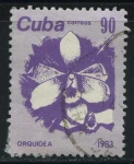 Sellos de America - Cuba -  Orquídea
