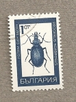 Stamps Bulgaria -  Procerus scabrosus