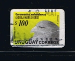 Sellos de America - Uruguay -  Geranoaetus melanoleucus  ( Aguila mora o gris. )