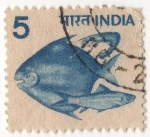 Stamps : Asia : India :  Pez