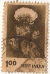 Stamps : Asia : India :  Flor
