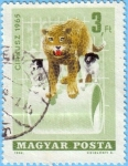 Stamps Hungary -  Cirkusz