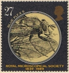 Stamps United Kingdom -  150 ANIV DE LA SOCIEDAD DE MICROSCOPIA. MOSCA AZUL