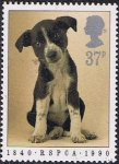 Stamps United Kingdom -  150 ANIV. DE LA SOCIEDAD PARA LA PREVENCIÓN DE LA CRUELDAD EN LOS ANIMALES. CACHORRO DE PERRO