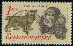 Sellos de Europa - Checoslovaquia -  Scott  1900  Cocker spaniel