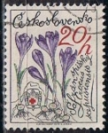 Stamps Czechoslovakia -  Scott  2228  Crocus (2)