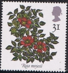 Stamps United Kingdom -  ROSAS. ROSA MOYESII