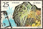 Stamps : Europe : Spain :  Actinia Equina