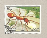 Stamps United Arab Emirates -  Hormiga