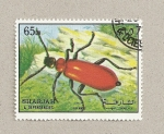 Stamps United Arab Emirates -  Coleoptero