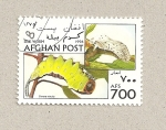 Stamps Afghanistan -  Cerura vinula