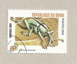 Sellos de Africa - Benin -  Eupholus bennetti