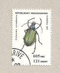 Stamps Madagascar -  Calosoma sycophania