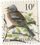 Stamps Belgium -  VINK - VINSON