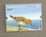 Stamps Portugal -  Año Polar Inernacional