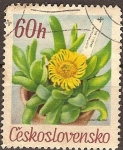 Stamps : Europe : Czechoslovakia :  Flores del gardin botánico Glottiphyllum Davisii