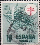 Stamps Spain -  pro-tuberculosos