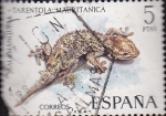 Stamps : Europe : Spain :  salamanquesa