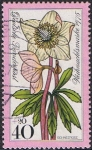 Stamps Germany -  NAVIDAD 1975. FLORA DE LOS ALPES. ELÉBORO