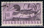 Stamps Czechoslovakia -  Anas Divoka