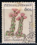 Sellos de Europa - Checoslovaquia -  Planta