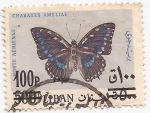 Stamps : Africa : Libya :  Charaxes ameliae
