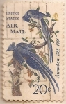 Stamps : America : United_States :  Audubon