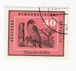 Stamps Germany -  Wanderfalke