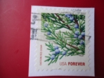 Stamps United States -  Eastern red Cedar. -Cedro Rojo del Este-