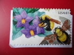 Stamps United States -  USA 41.
